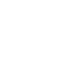 Import and Export data Icon
