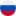 Русский 旗帜